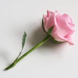 Meet your Posher, Giana